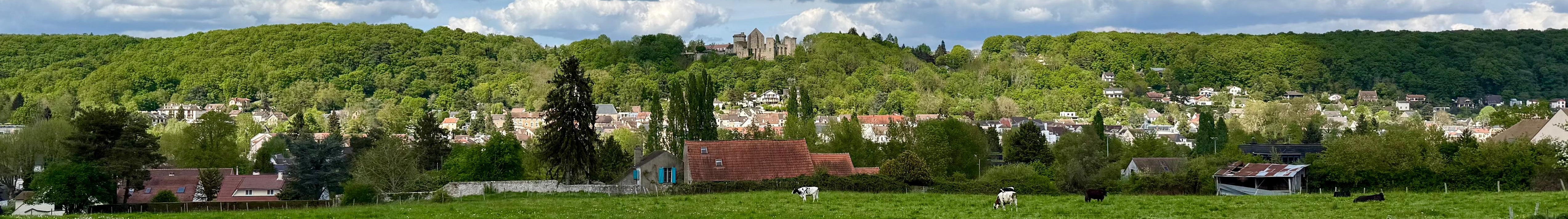 Paysage inspirant de la Vallée de Chevreuse